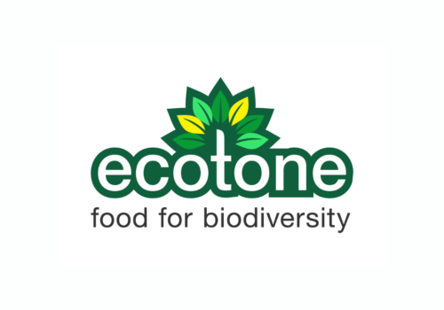 Ecotone Feature Image