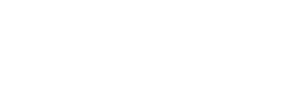 ahold delhaize