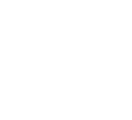 the collective